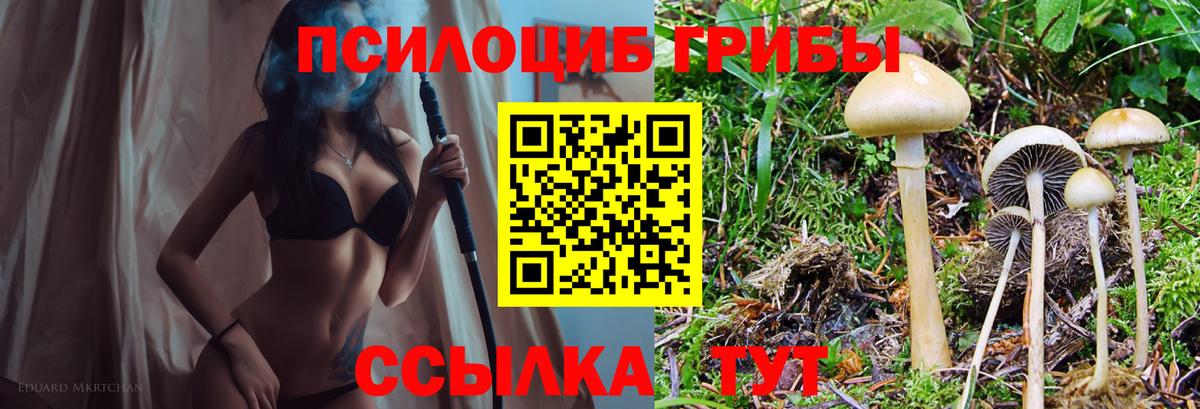 Псилоцибиновые грибы GOLDEN TEACHER  Вход с VPN  Соль-Илецк 